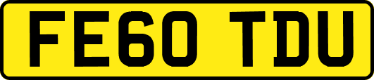 FE60TDU