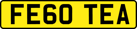 FE60TEA