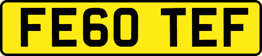 FE60TEF