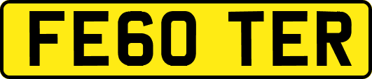 FE60TER