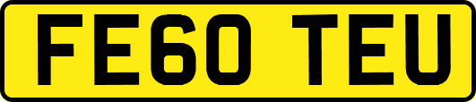 FE60TEU