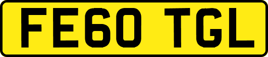 FE60TGL