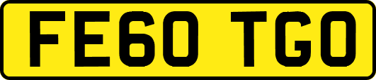 FE60TGO