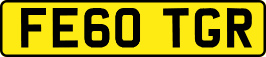 FE60TGR