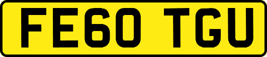 FE60TGU