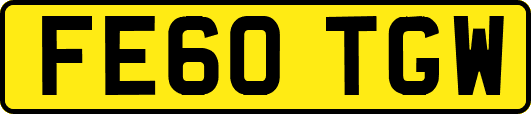 FE60TGW