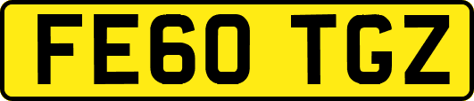 FE60TGZ