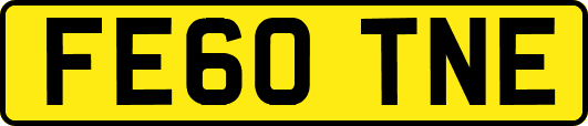 FE60TNE