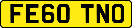 FE60TNO