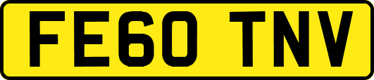 FE60TNV