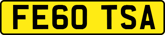 FE60TSA