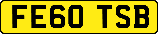 FE60TSB