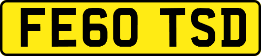 FE60TSD