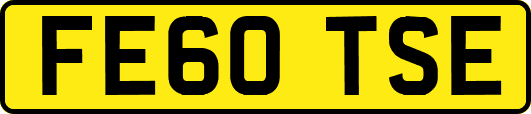 FE60TSE