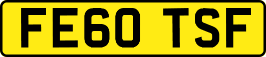 FE60TSF