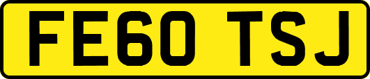 FE60TSJ
