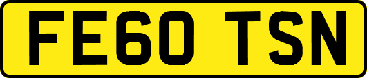 FE60TSN