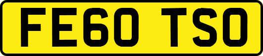 FE60TSO