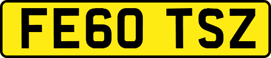 FE60TSZ