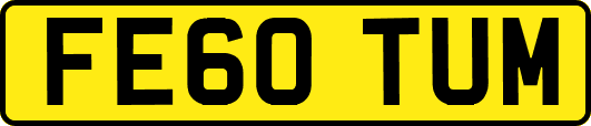 FE60TUM
