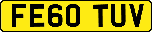 FE60TUV