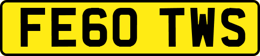 FE60TWS