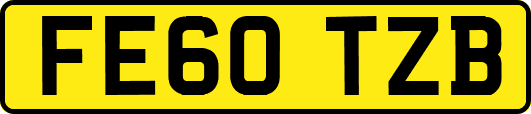 FE60TZB