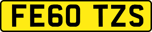 FE60TZS
