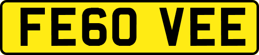 FE60VEE