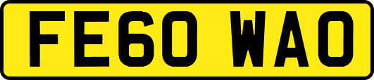 FE60WAO