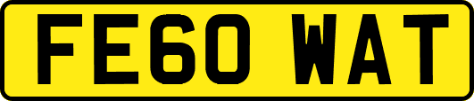 FE60WAT