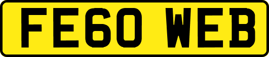 FE60WEB