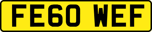 FE60WEF