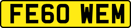 FE60WEM