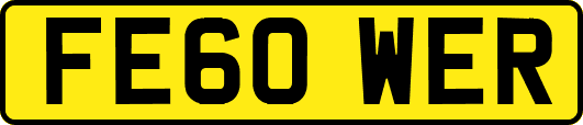 FE60WER