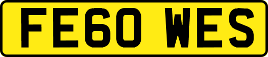 FE60WES