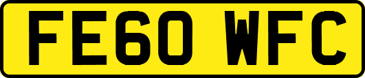 FE60WFC