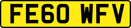 FE60WFV