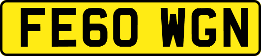 FE60WGN