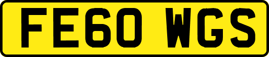 FE60WGS