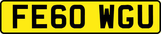 FE60WGU