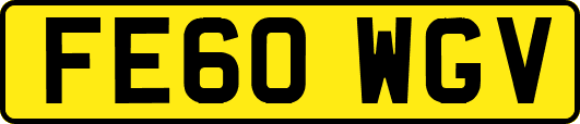 FE60WGV