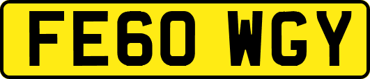 FE60WGY