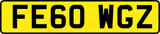 FE60WGZ