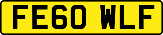 FE60WLF