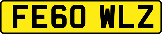 FE60WLZ