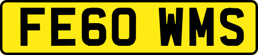 FE60WMS