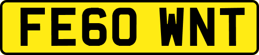 FE60WNT