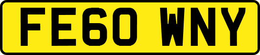 FE60WNY