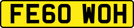 FE60WOH